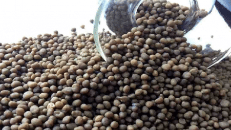 Fertilizer DAP 50kg bags (Kenya) - Image 5