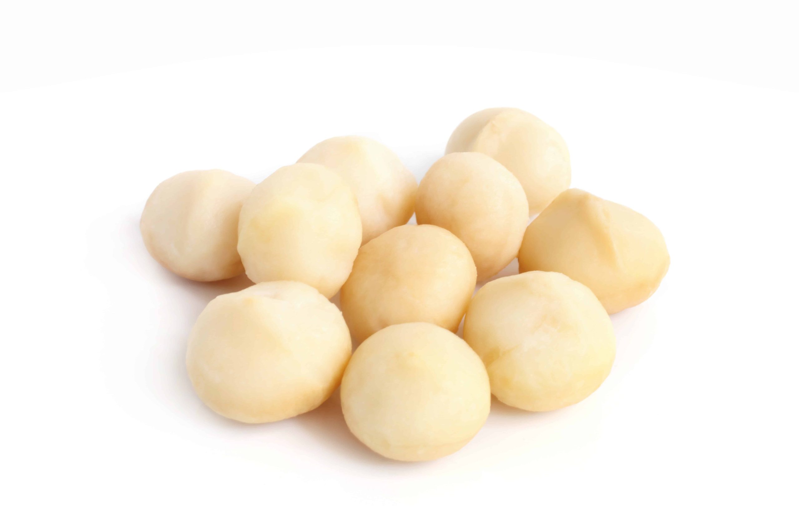 Go Africa® Raw Macadamia Nuts (Vacuum sealed foiled) 11.34kg / 25lbs (Sold Per MT) - Image 6
